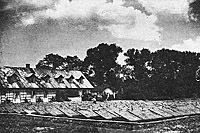 1936: inspekty Zakładu Uprawy i Hodowli Warzyw w Skierniewicach